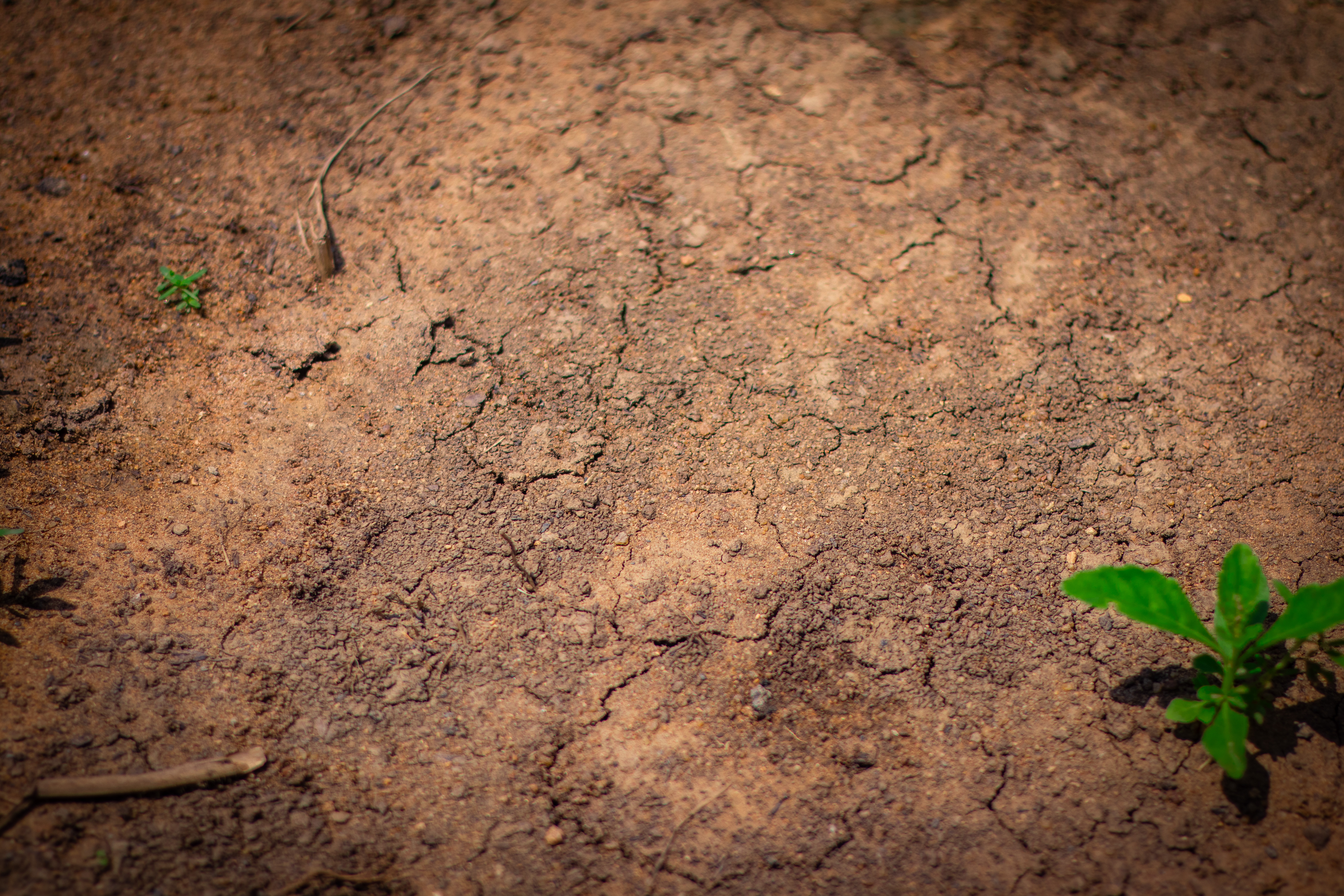 Education Initiative